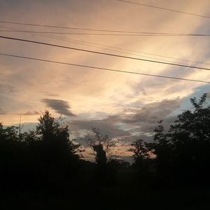 Meet your Posher, Betty